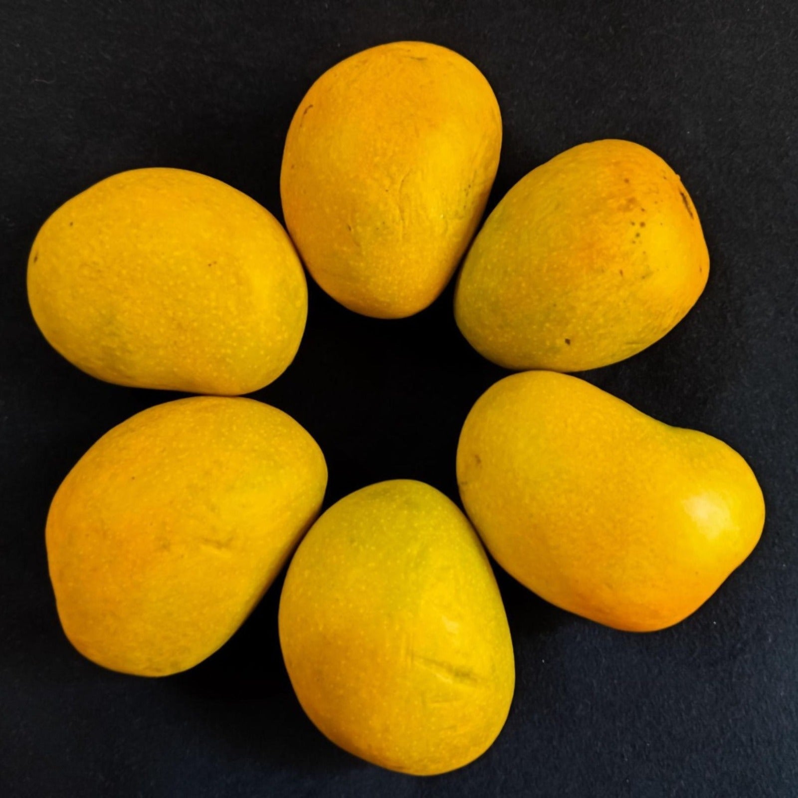 Alphonso