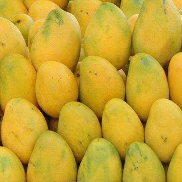 Banganapalli