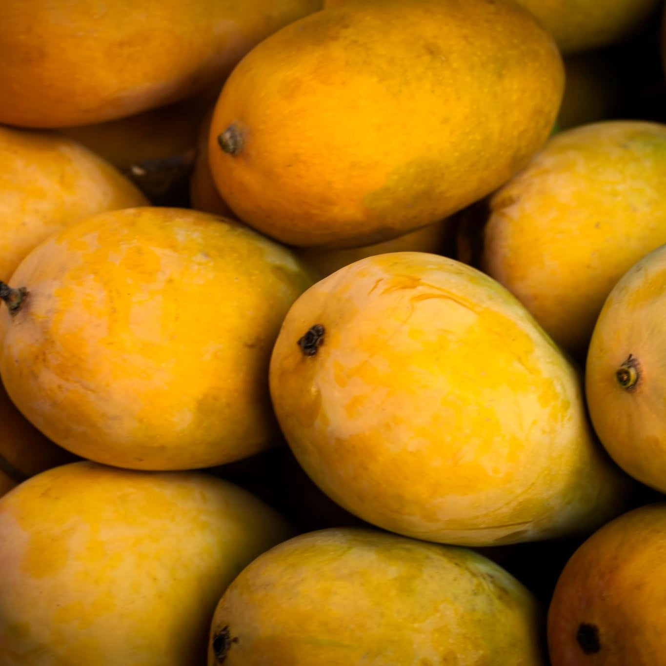 Kesar